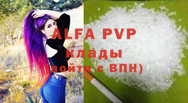 a pvp Бородино